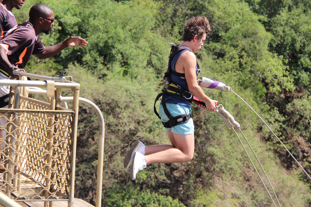 victoria falls swing.jpg